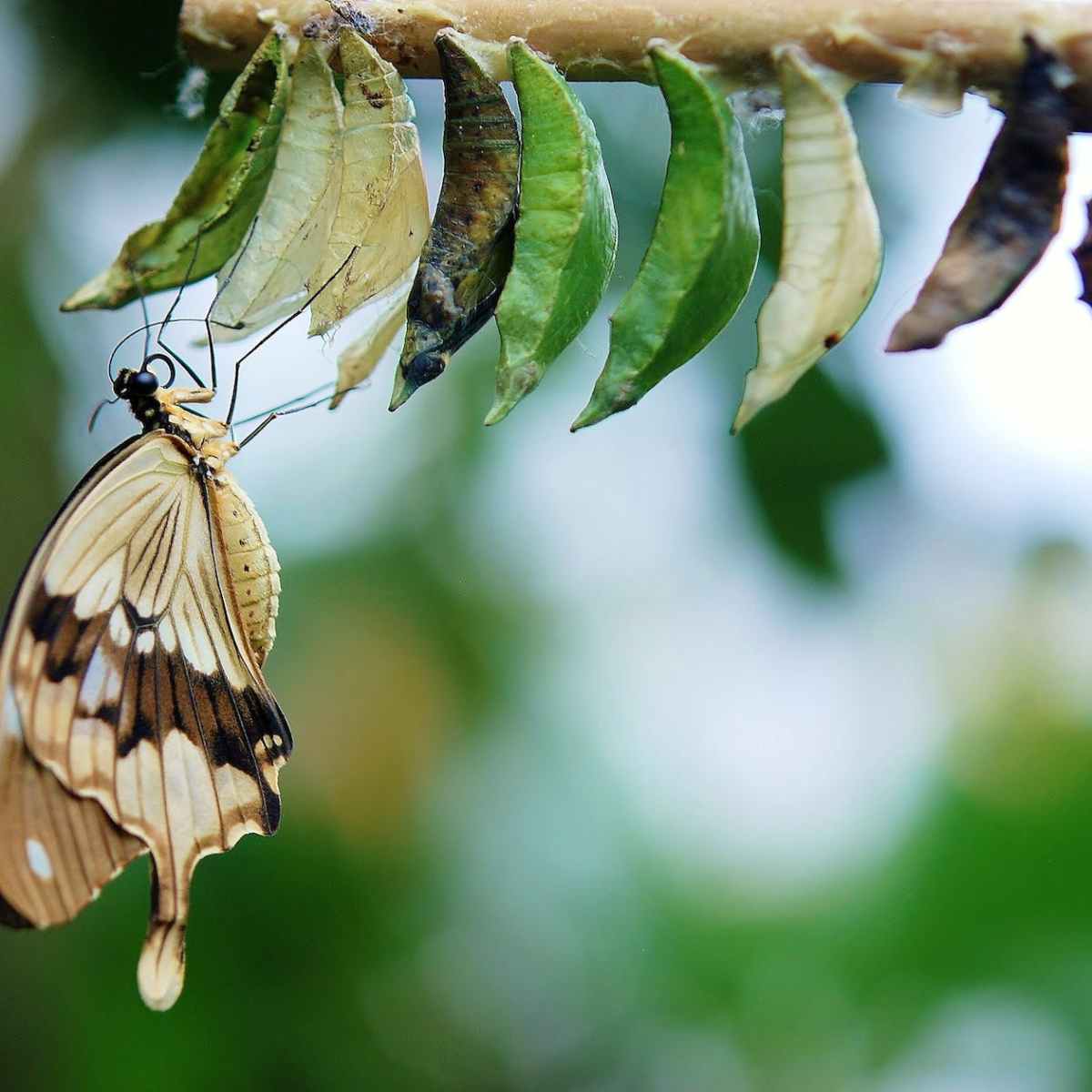 Decorate your monolith&nbsp;away!