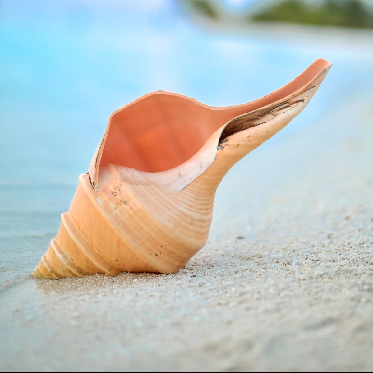 Encapsulate behaviour with anonymous&nbsp;classes